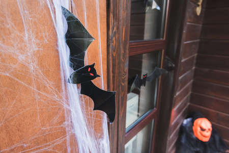 house door decorated with spider net and black paper cut batの写真素材