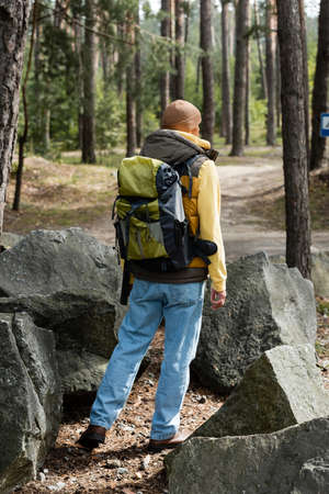 back view of tourist with backpack standing near rocks in forest