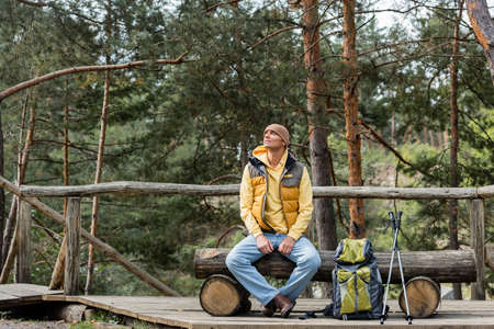 traveler looking away while resting on log bench near backpack and trekking polesの写真素材
