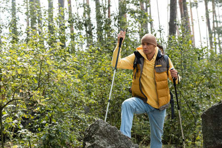 tourist with trekking poles standing near rocks in forest and looking awayの写真素材
