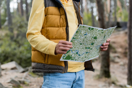 cropped view of tourist in warm vest holding map in forestの写真素材