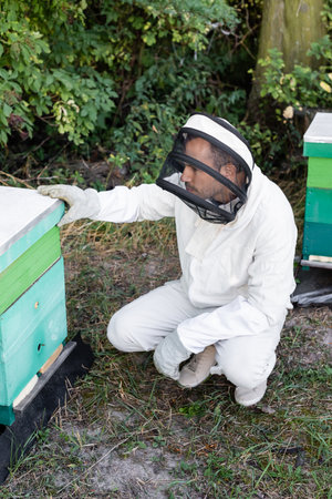 beekeeper in protective suit and helmet near beehive on apiaryの写真素材