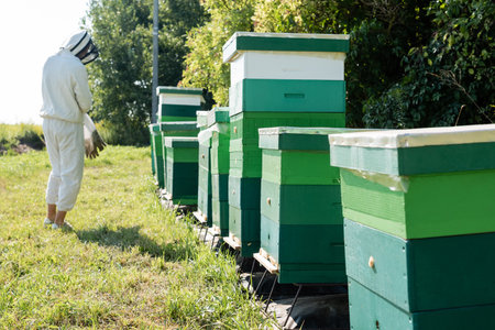 bee master in protective suit standing near row of beehives on apiary