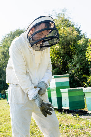 apiarist in beekeeping suit putting on protective gloves on apiaryの写真素材