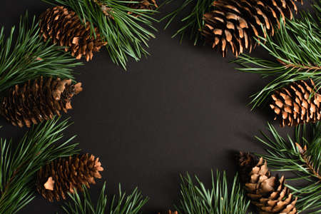 top view of fir branches and pine cones on black
