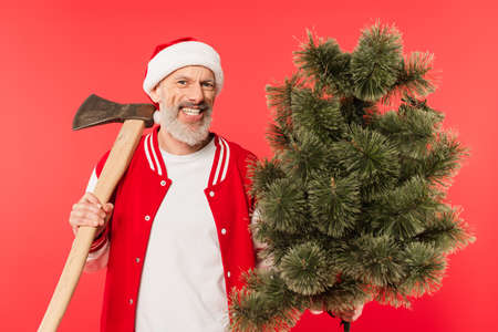 happy middle aged man in santa hat holding axe and pine tree isolated on redの写真素材