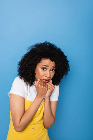 scared african american woman holding fists near chin while looking at camera isolated on blueの写真素材