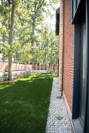 sunshine on backyard with green lawn near modern house