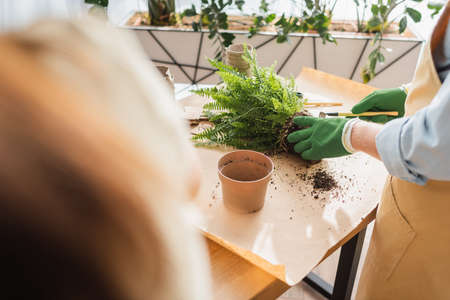 Cropped view of florist working with rake and plant near flowerpots in shopの写真素材