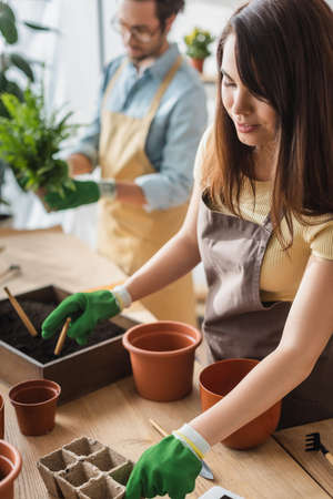 Florist in apron working with gardening tools near blurred colleague in flower shopの写真素材