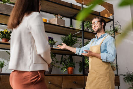 Low angle view of smiling florist pointing at plants near blurred customer in flower shopの写真素材