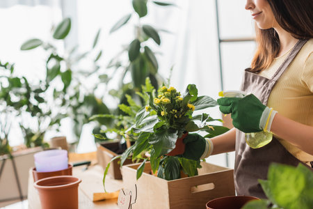 Cropped view of florist spraying water on plant with flowers in shopの写真素材