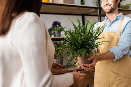 Cropped view of smiling florist holding plant near blurred customer in flower shopの写真素材
