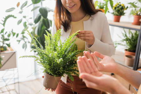 Cropped view of smiling customer touching plant near florist in flower shopの写真素材
