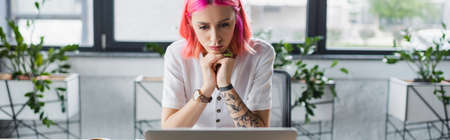 focused businesswoman with pink hair looking at laptop in office, bannerの写真素材