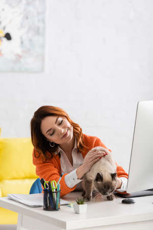 smiling freelancer stroking cat on work desk near computer monitorの写真素材