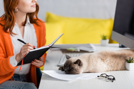cropped view of blurred woman writing in notebook near cat lying on deskの写真素材