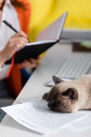 partial view of blurred woman writing in notebook near cat sleeping on documentsの写真素材