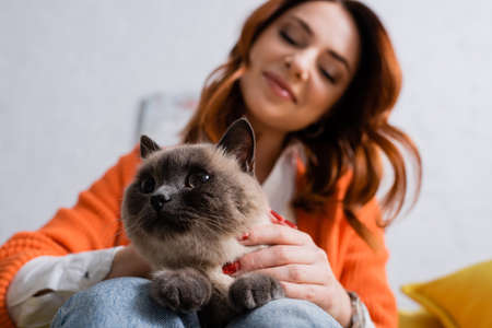 low angle view of blurred happy woman sitting with cat at homeの写真素材