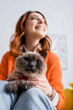 low angle view of blurred cheerful woman sitting with furry cat at homeの写真素材