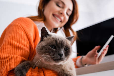 low angle view of happy blurred woman with fluffy cat and smartphoneの写真素材