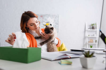 allergic woman with cat taking paper napkin from blurred pack while sitting at work desk at homeの写真素材