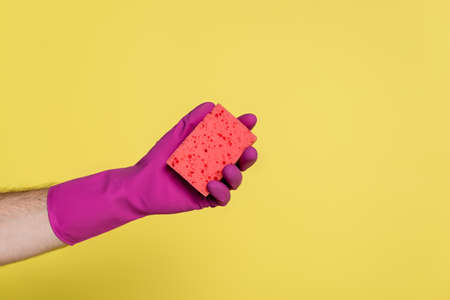 cropped view of man in pink rubber glove holding sponge isolated on yellowの写真素材