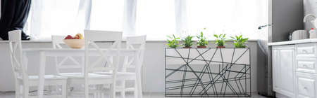 dining table with fruits near white chairs in modern kitchen, bannerの写真素材