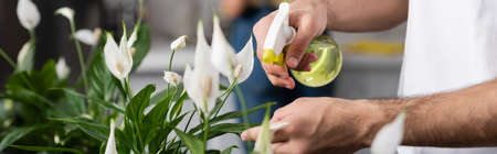 cropped view of man spraying water on plant near blurred woman, banner