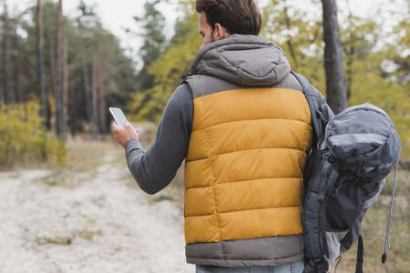 back view of traveler in autumn clothes using smartphone while hiking in forestの写真素材