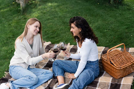 happy lesbian couple clinking glasses of red wine during picnicの写真素材