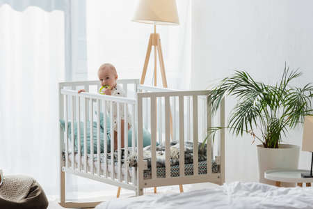 toddler kid with rattle ring standing in crib near lamp and plantの写真素材