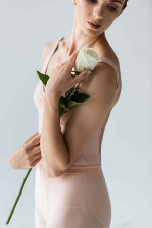 partial view of ballerina in bodysuit holding flower isolated on greyの写真素材