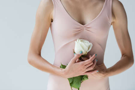 partial view of young ballerina in bodysuit holding white rose isolated on greyの写真素材