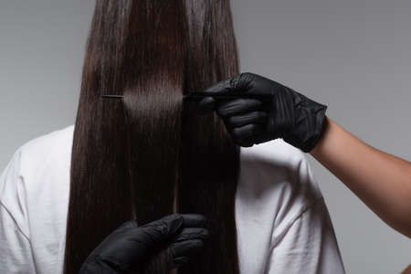 back view of young woman with smooth long hair near colorist in latex gloves isolated on greyの写真素材
