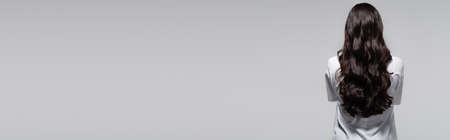 back view of brunette woman with long shiny hair isolated on grey, bannerの写真素材