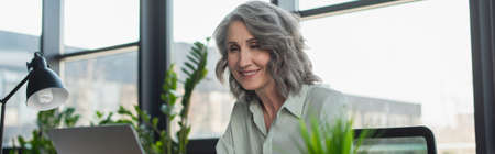 Positive grey haired businesswoman looking at laptop in office, banner