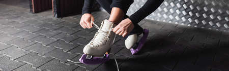 young woman tying laces on figure skating shoes, bannerの写真素材