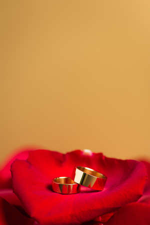 golden wedding rings on red rose petals isolated on yellowの写真素材