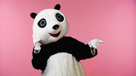 person in happy panda bear costume pointing with finger isolated on pink backgroundの写真素材