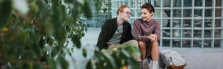 Young tourists talking near backpack and plants in hotel, bannerの写真素材