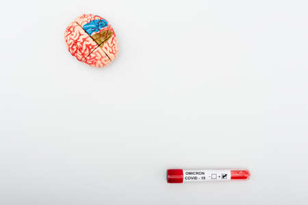 top view of brain model and test tube with covid-19 omicron variant positive result on grey backgroundの写真素材
