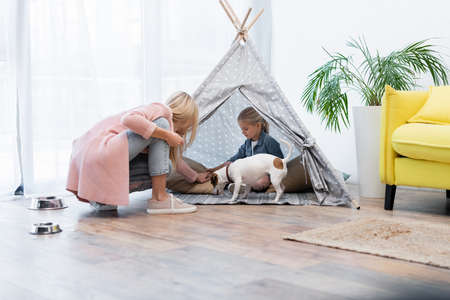 Child sitting in tent near jack russell terrier and mom at homeの写真素材
