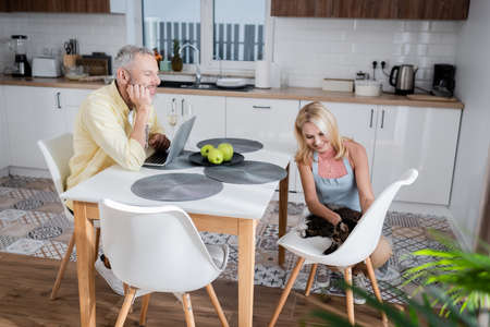 Smiling woman in apron petting cat near husband with laptop in kitchenの写真素材