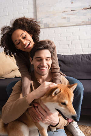 Positive multiethnic couple petting blurred shiba inu near couch at homeの写真素材
