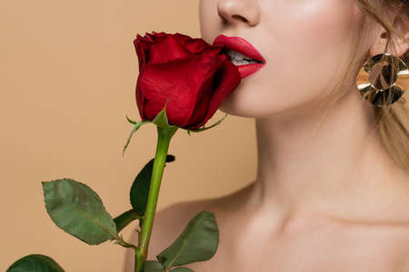 partial view of sensual woman with fresh rose near red lips isolated on beigeの写真素材