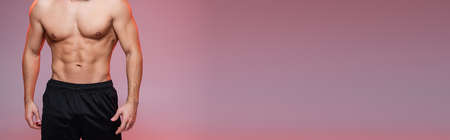 cropped view of shirtless man with muscles posing on pink and grey, banner