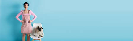 pug dog on white chair near happy woman standing with hands on hips on blue background, bannerの写真素材
