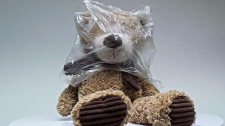 plastic bag on teddy bear isolated on greyの写真素材