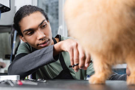young african american man grooming blurred dog in pet salonの写真素材